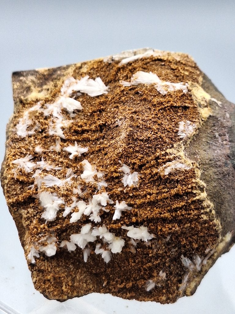 Gips - Wehrendorf, Duitsland, Verzamelen, Mineralen en Fossielen, Ophalen of Verzenden, Mineraal