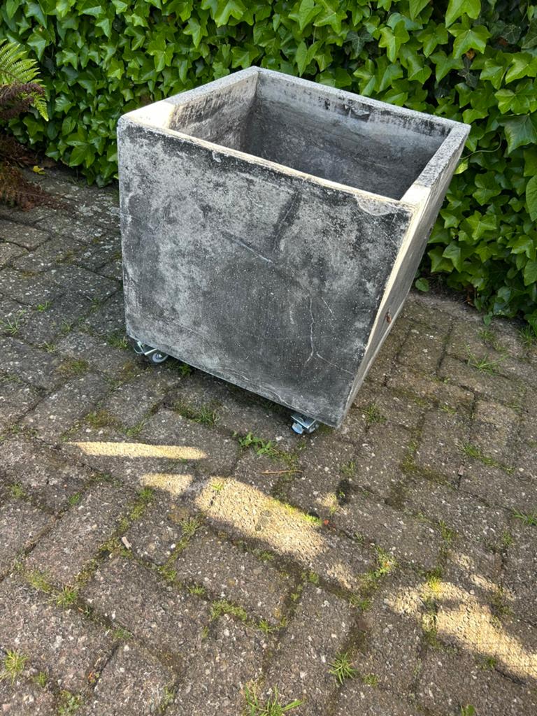 Betonnen bloembak op wielen., Tuin en Terras, Gebruikt, Minder dan 60 cm, Vierkant, Ophalen of Verzenden