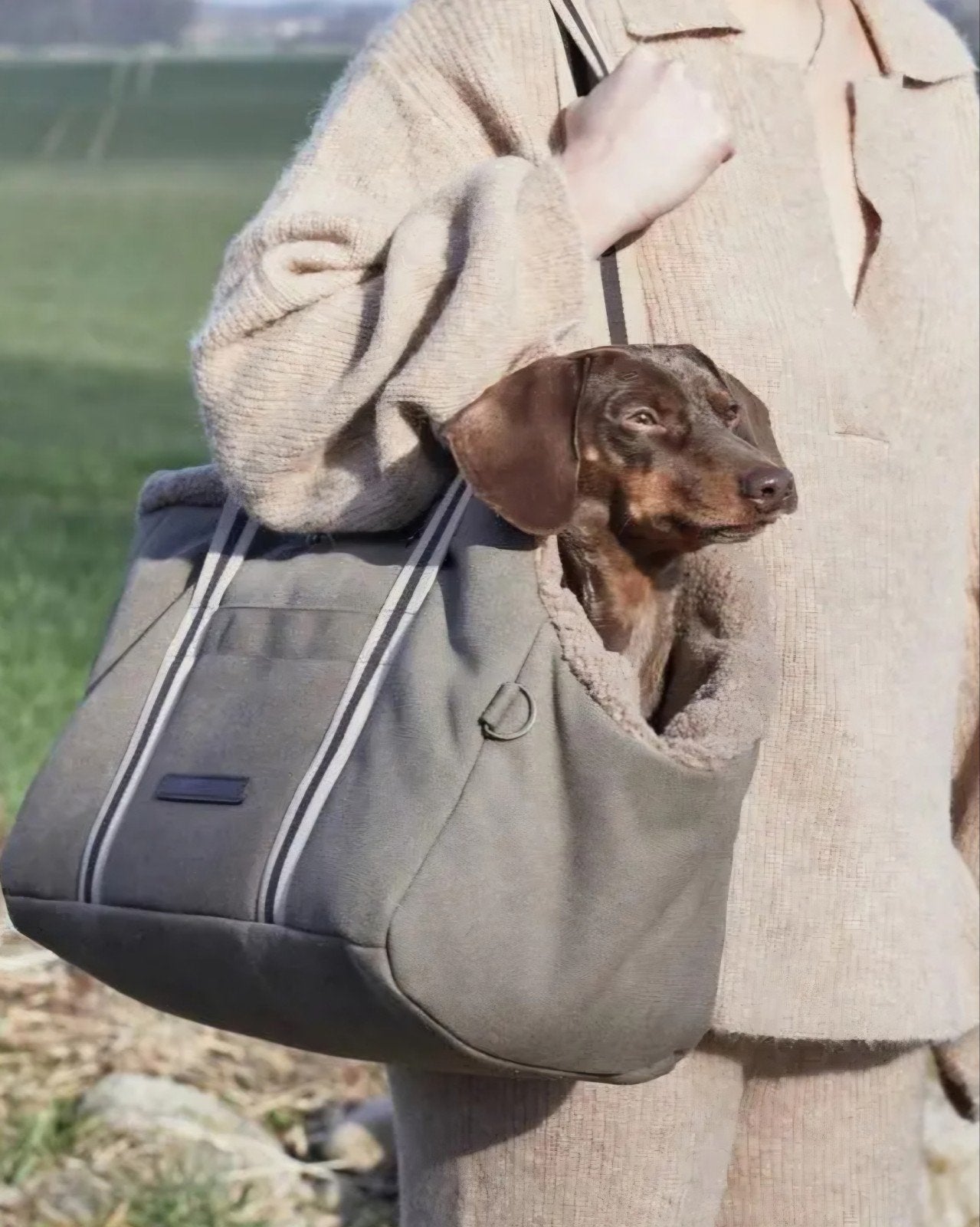 Cloud7 Dog Carrier (small) Lucca Canvas Sand., Ophalen of Verzenden, Nieuw