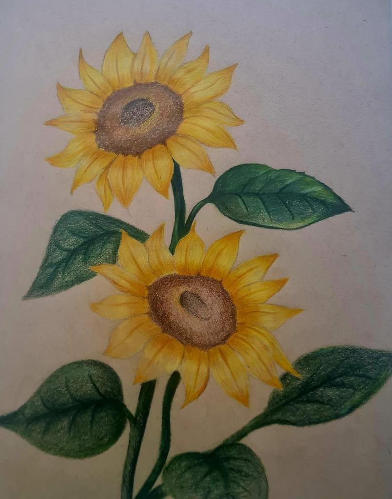 Unieke  handgemaakte  kunstwerken met emotie, Ophalen of Verzenden