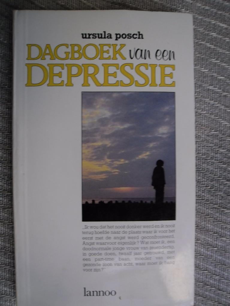 Dagboekvan een depressie Ursula Posch, Ophalen, Zo goed als nieuw, Sociale psychologie, Ursula Posch