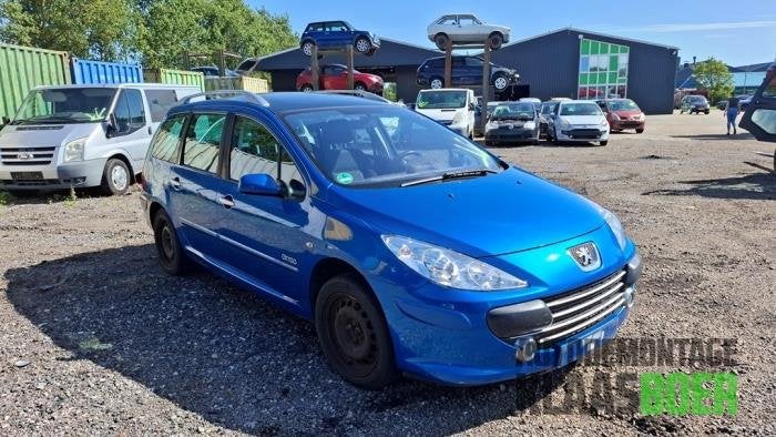 Portier 4Deurs links-achter van een Peugeot 307, Gebruikt, -, Deur, -