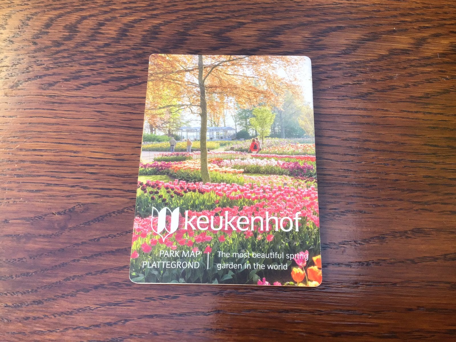 Plattegrond,,keukenhof,,2026(ongeopend), Ophalen of Verzenden, Nieuw