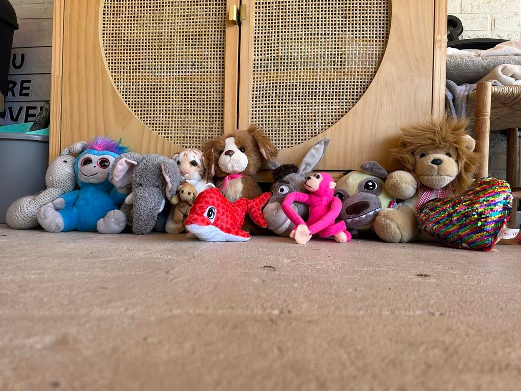 Grote collectie van 10 knuffels - diverse knuffels, Gebruikt, Overige karakters, Blauw, Ophalen of Verzenden