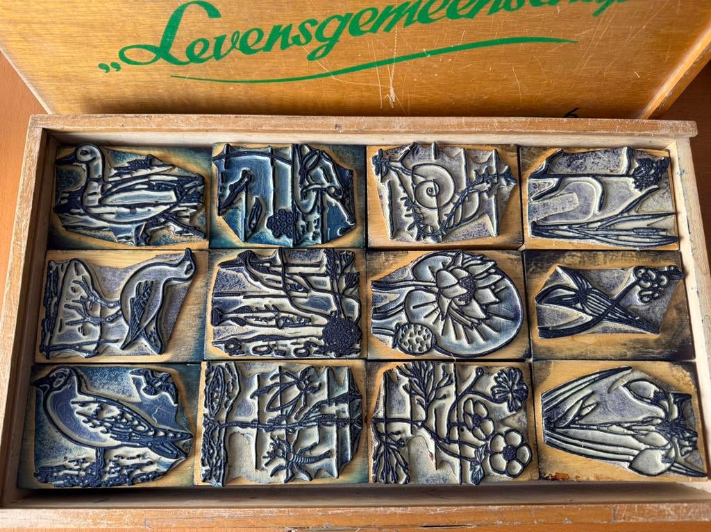 Houten Schoolstempels Biologie “Sloot en Plas”, Hobby en Vrije tijd, Stempelen, Ophalen of Verzenden, Houten stempel