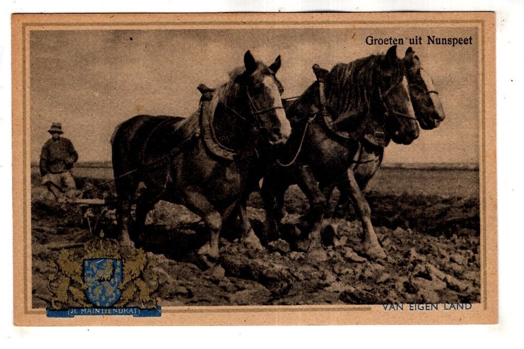 Nunspeet Serie Jaap Doeser 6 stuks, Ophalen of Verzenden, 1920 tot 1940, Ongelopen, Gelderland