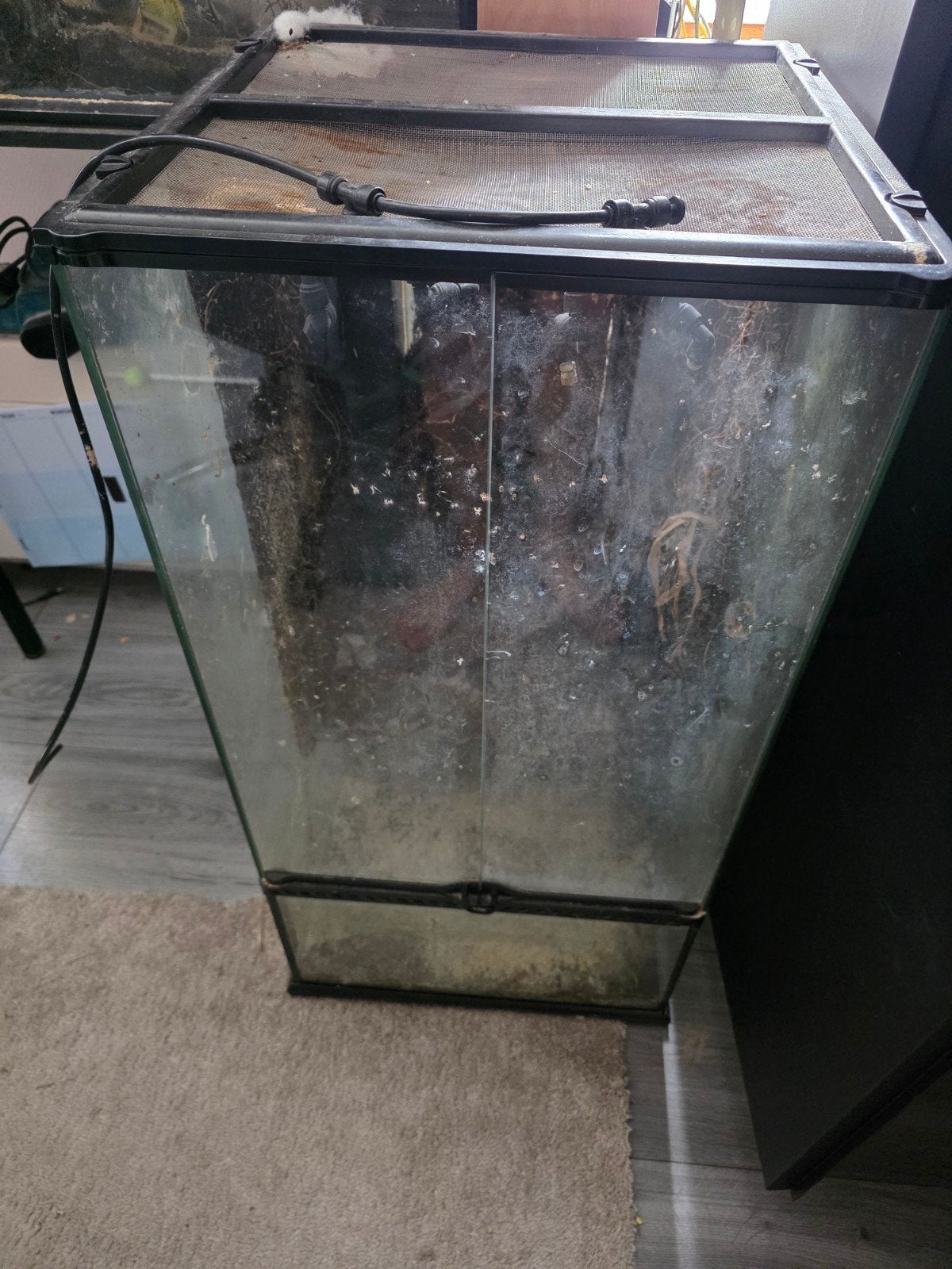 exo terra paludarium. 45 x 45 x 90, Ophalen, Gebruikt, Terrarium of Paludarium