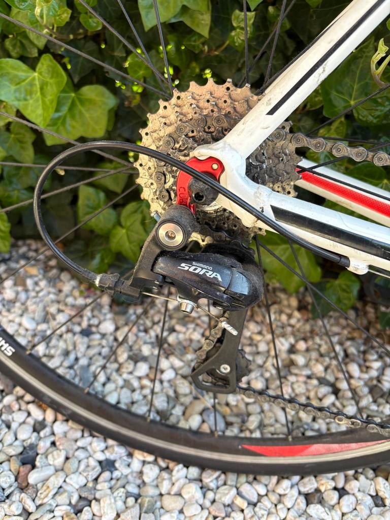 Cube Peloton PRO racefiets - Framemaat 58, 28 inch, Gebruikt, Aluminium, 57 tot 61 cm