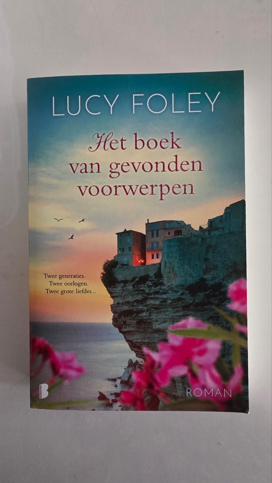 Het boek van gevonden voorwerpen - Lucy Foley, Ophalen of Verzenden, Gelezen, Lucy Foley, Europa overig