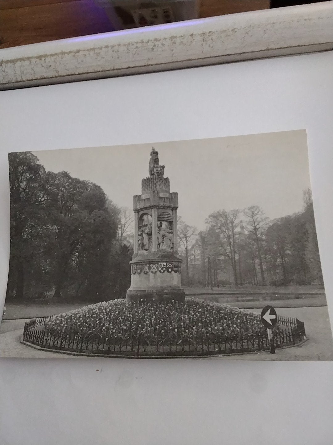 Oude ansichtkaart Skol-tulpenpracht in Breda, Ophalen of Verzenden, 1960 tot 1980, Ongelopen, Noord-Brabant