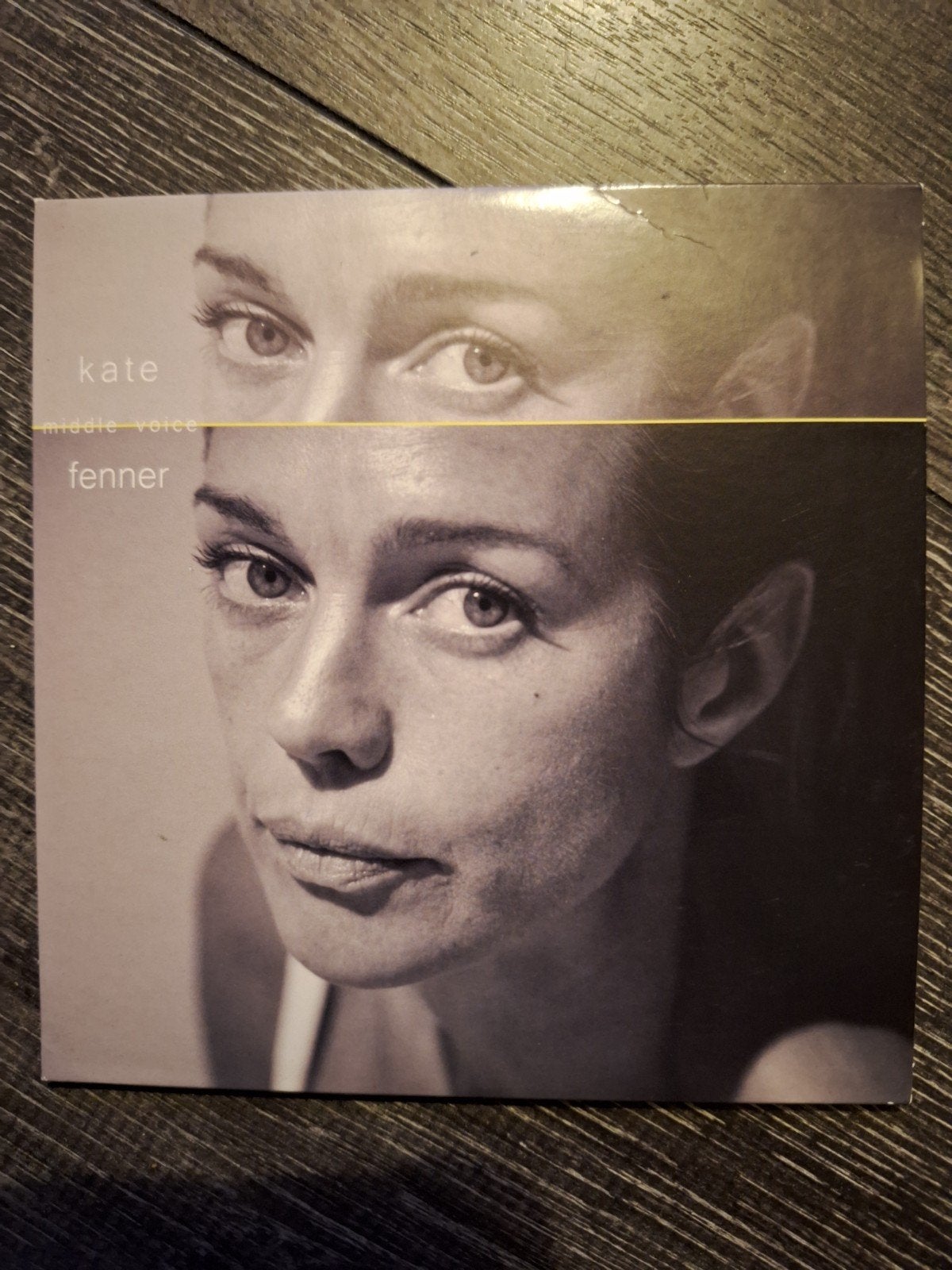 Kate Fanner - Two Minds CD (Pop, Rock), Cd's en Dvd's, Ophalen of Verzenden, Zo goed als nieuw, Singer-songwriter, Album