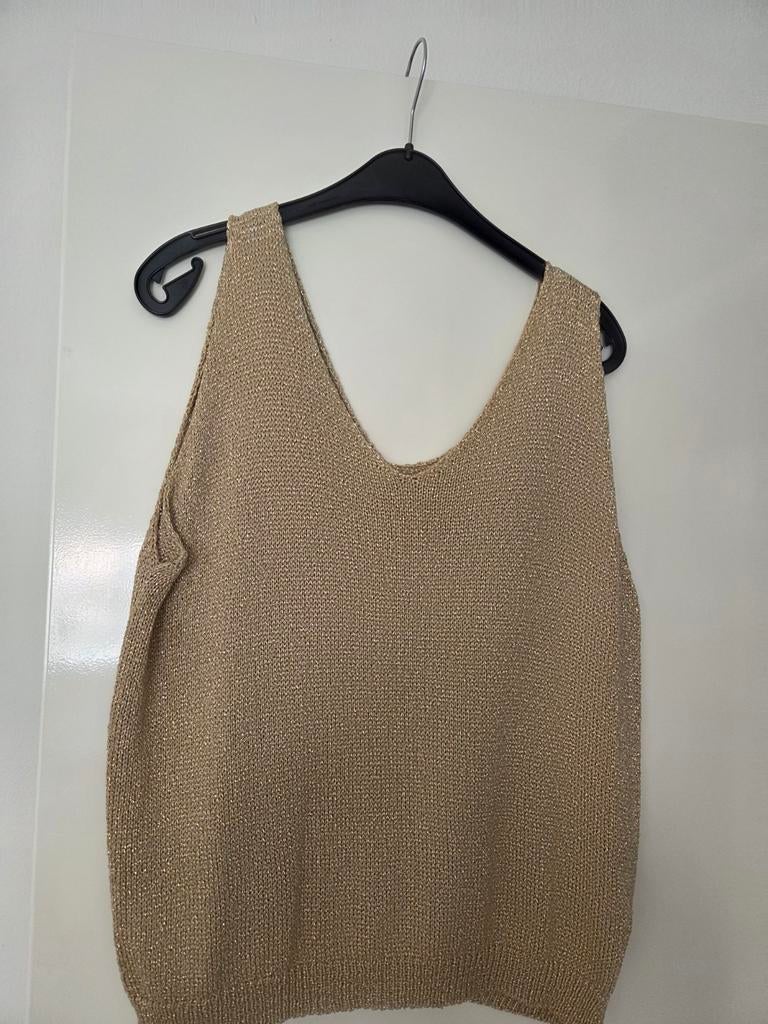 Twinset hempje en vest, Ophalen of Verzenden, Zo goed als nieuw, Maat 42/44 (L), Overige kleuren