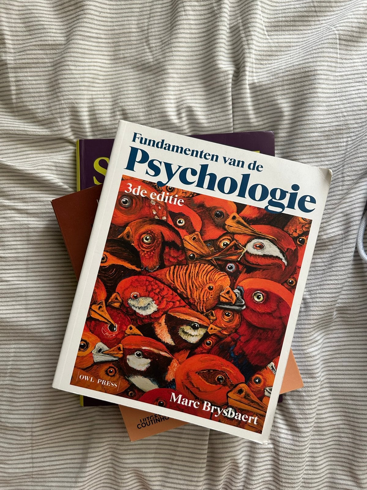 Fundamenten van de Psychologie - Marc Brysbaert, Verzenden, Zo goed als nieuw, Cognitieve psychologie