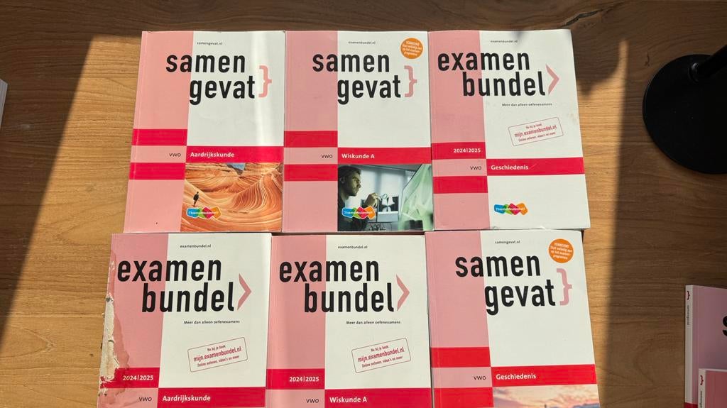 12 samengevat / examenbundel 2026 2025, Ophalen of Verzenden, Zo goed als nieuw, VWO