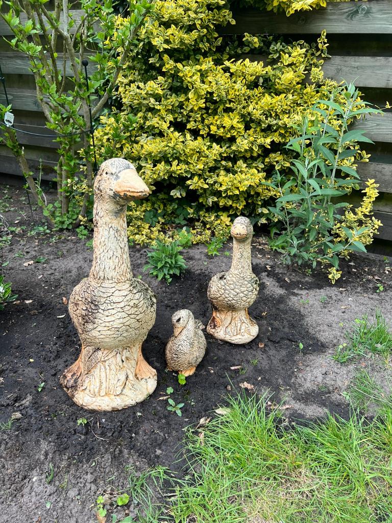 3 betonnen ganzen, Tuin en Terras, Tuinbeelden, Ophalen