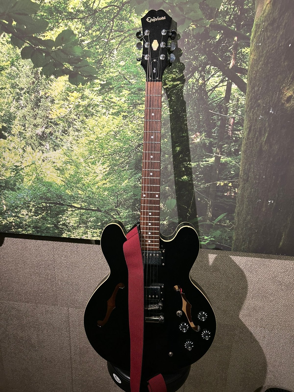 Epiphone Dot semi holow met koffer, Ophalen, Zo goed als nieuw, Hollow body, Epiphone