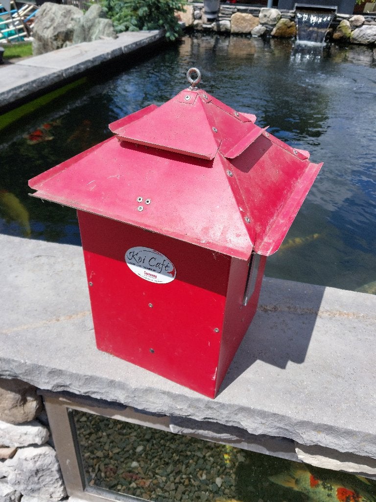 Voederautomaat koi, Karper of Koi