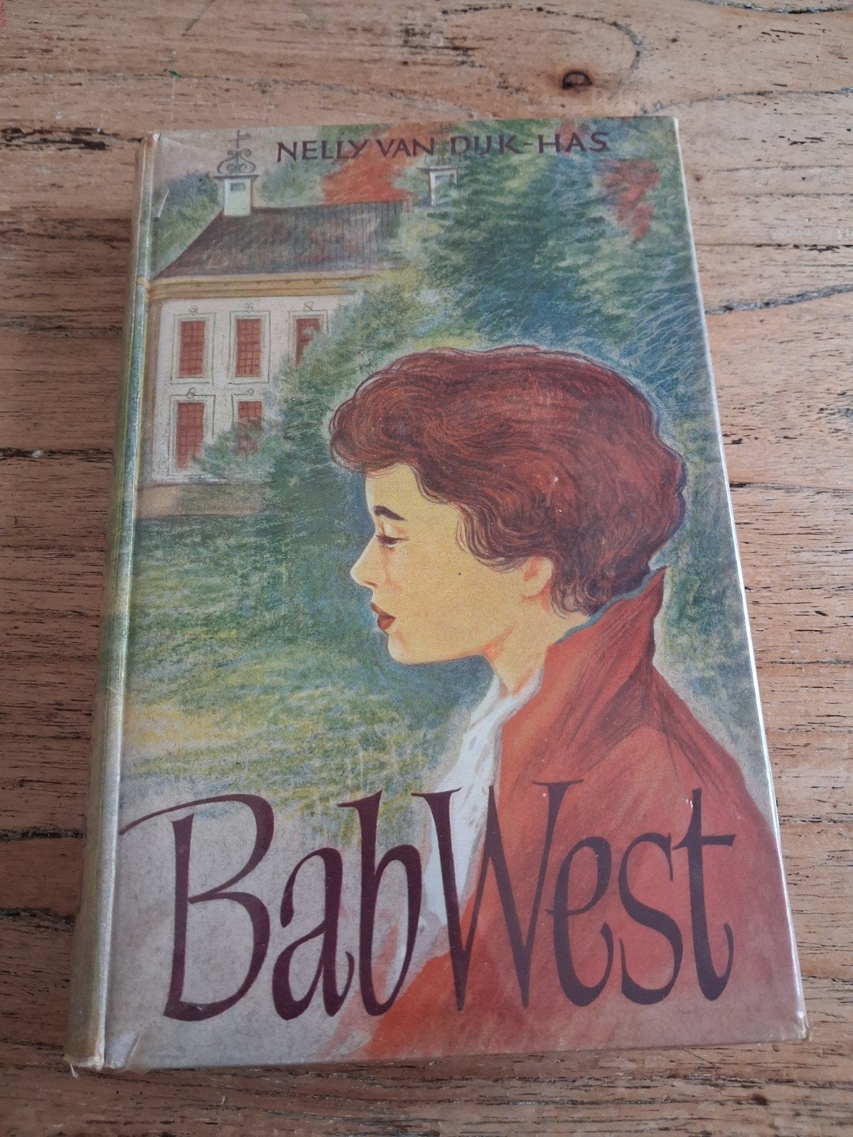 Bab West - Nelly van Dijk-Has (1960), Boeken, Ophalen of Verzenden