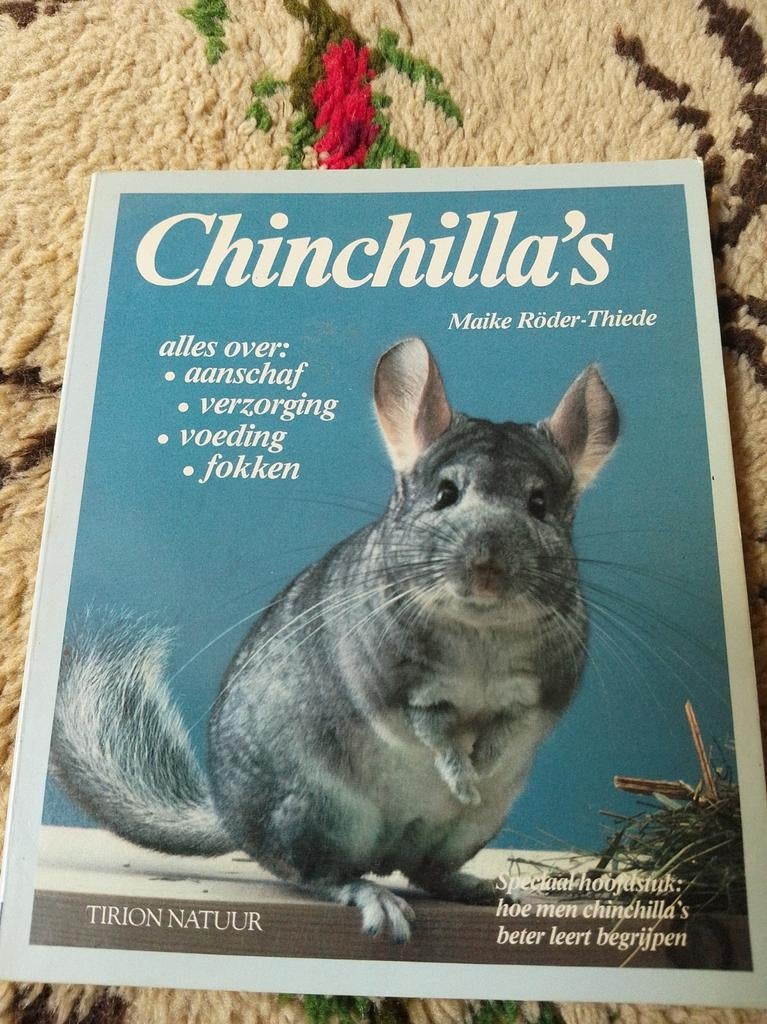 Chinchilla's: alles over aanschaf verzorging, voeding, fokk, Ophalen of Verzenden