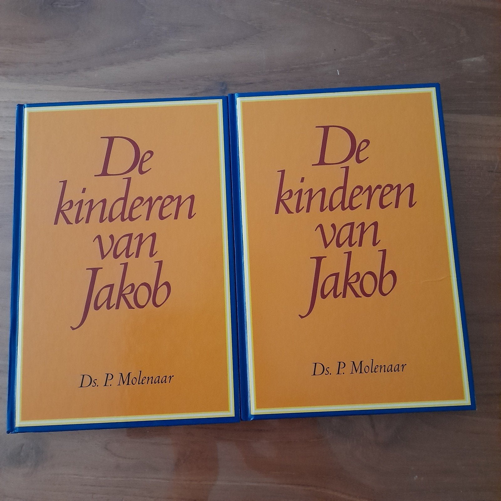 P.  Molenaar - Kinderen van Jakob, P. Molenaar, Christendom | Protestants, Ophalen, Gelezen