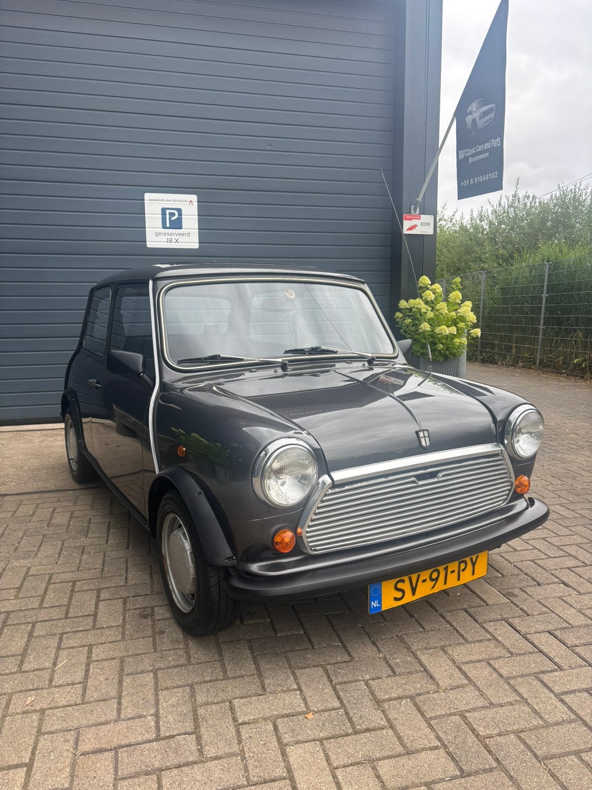 Classic mini 1000 bouwjaar 1988, Auto's, Mini, Bedrijf, Benzine, Handgeschakeld, Grijs, Stof, Voorwielaandrijving, Ophalen