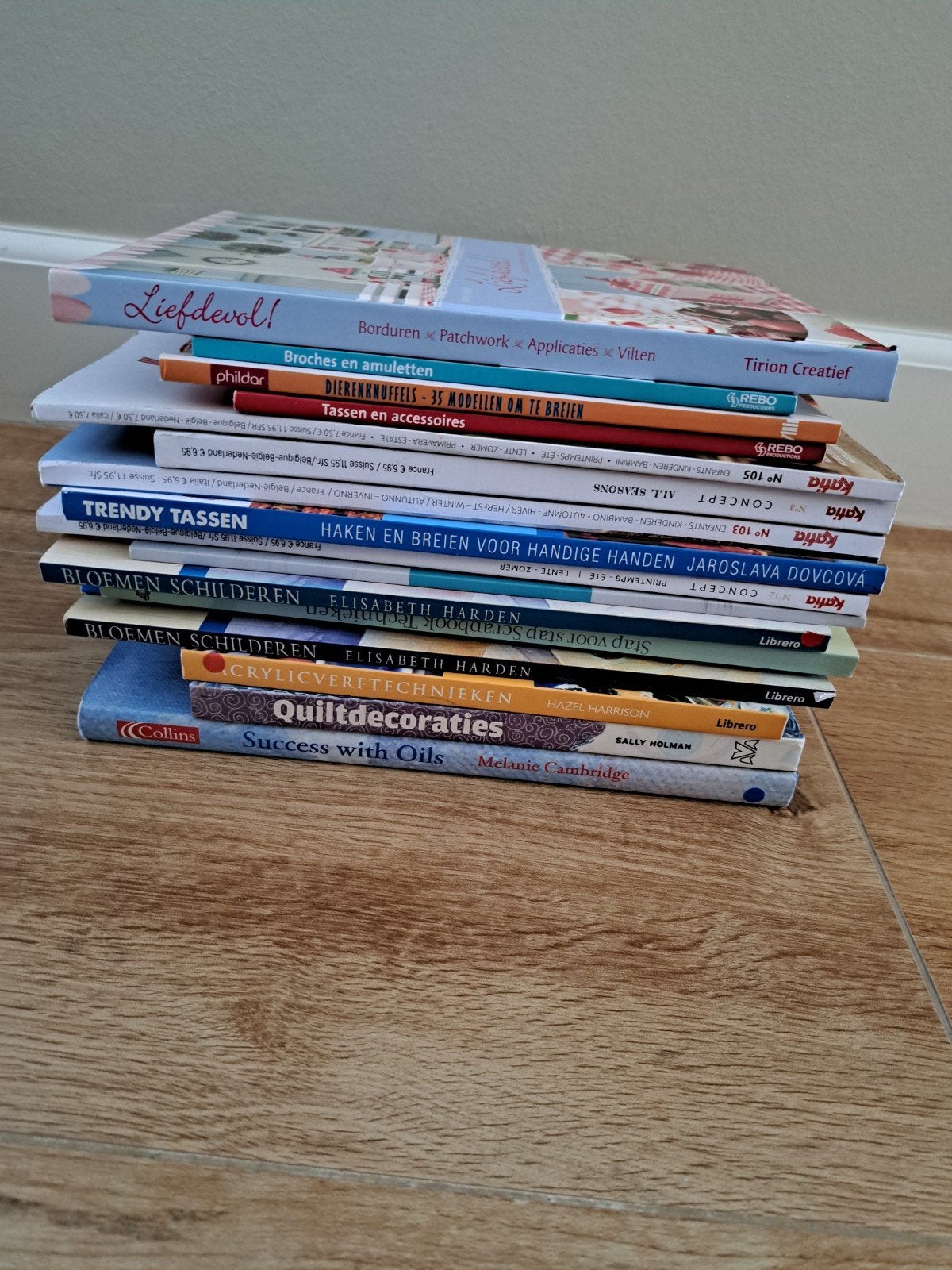 Diverse knutselboeken: borduren, haken, schilderen en meer, Hobby en Vrije tijd, Gebruikt, Overige thema's, Meerkleurig, Ophalen of Verzenden
