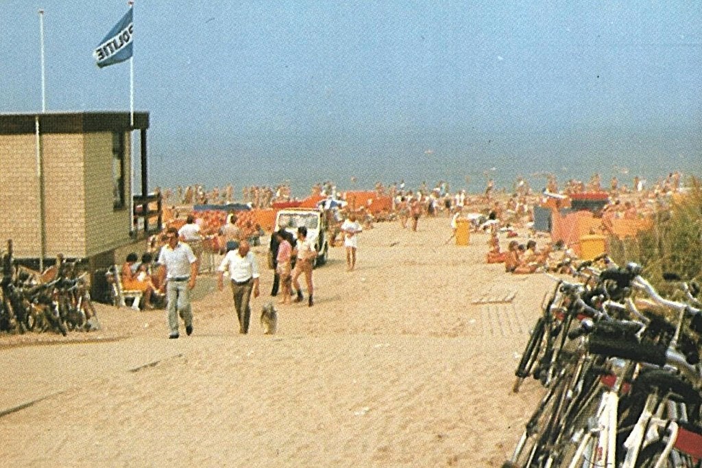 43487 Noordwijk aan Zee ZH 981 Leuke kaart Onbeschreven, Verzenden, 1980 tot heden, Ongelopen, Noord-Brabant