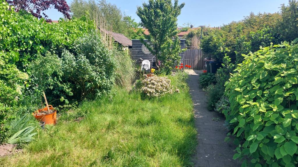Verschillenden planten, struiken, bloemen, Ophalen, Overige soorten, Halfschaduw