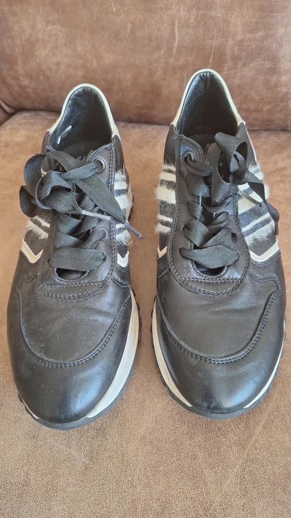 Zwarte sneakers DL sports maat 40, Kleding | Dames, Schoenen, DL sport, Zwart, Ophalen of Verzenden, Sneakers of Gympen