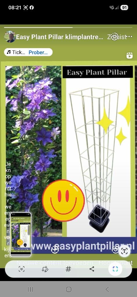 Plantensteunen klimplantsteunen plantenrekken Draadrekken, Ophalen of Verzenden, Nieuw, IJzer, Overige typen