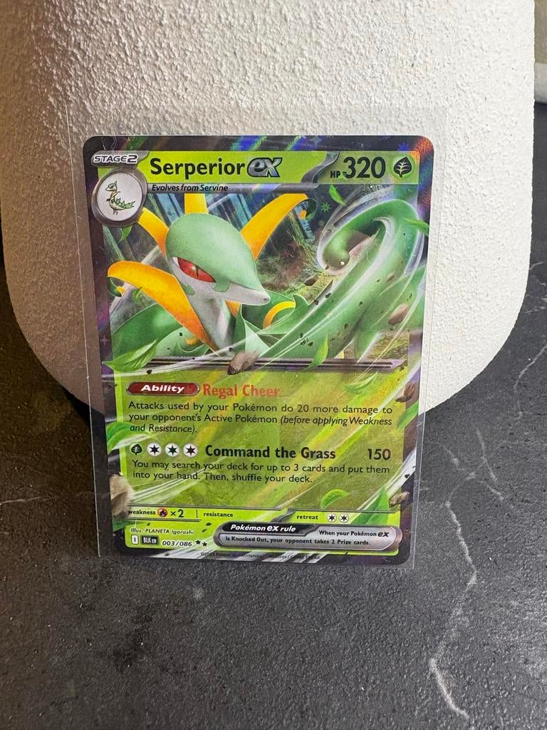 Serperior ex (BLK 003) Pokémon kaart, Ophalen of Verzenden, Zo goed als nieuw, Losse kaart, Foil