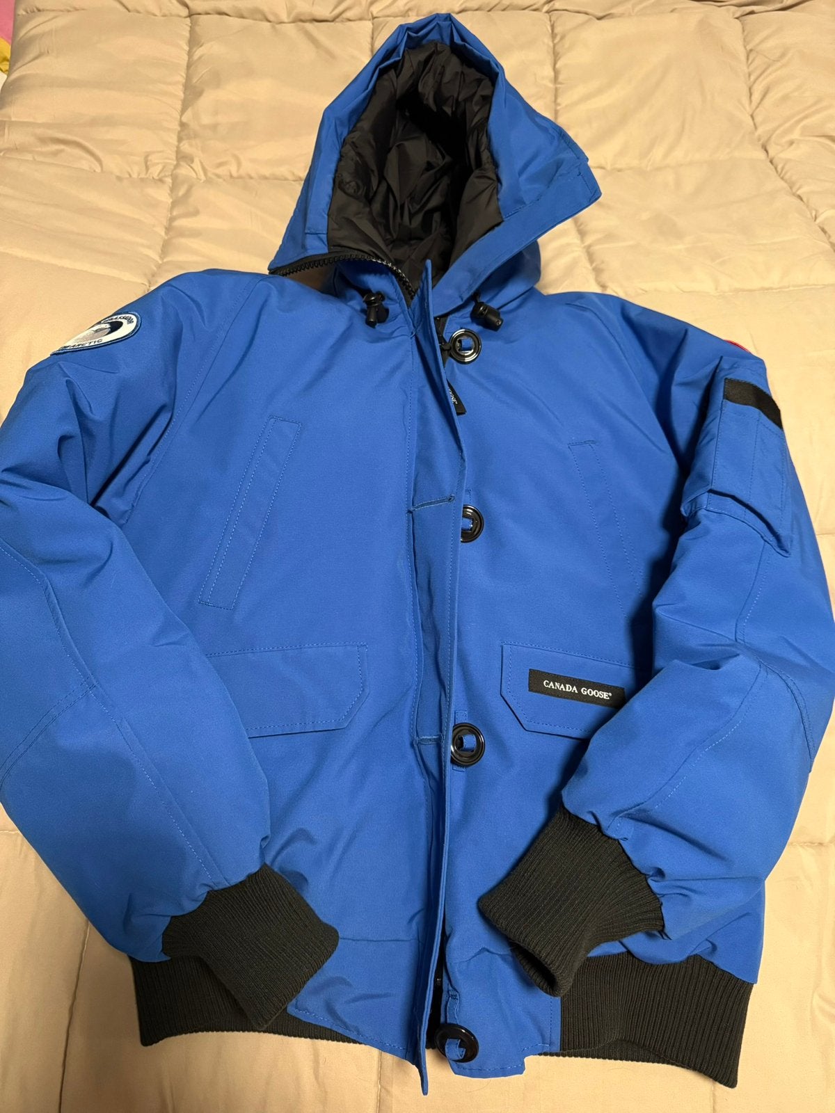 Canada Goose Chilliwack Bomber PBI, Kleding | Dames, Jassen | Winter, Zo goed als nieuw, Maat 46/48 (XL) of groter, Blauw, Ophalen of Verzenden