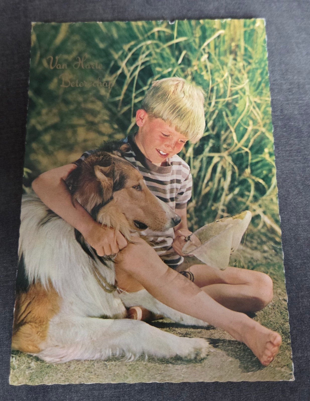 Jongen met Collie hond, Verzenden, 1960 tot 1980, Gelopen, Kinderen