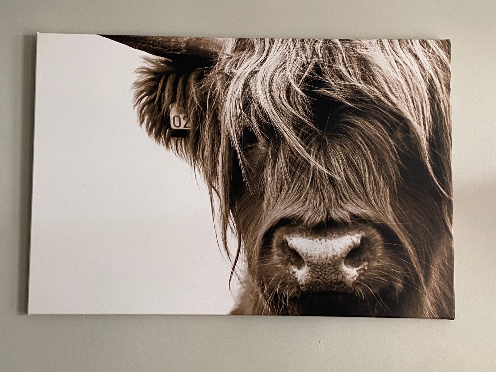 Canvas schilderij 90 x 60, Ophalen, Zo goed als nieuw, Schilderij