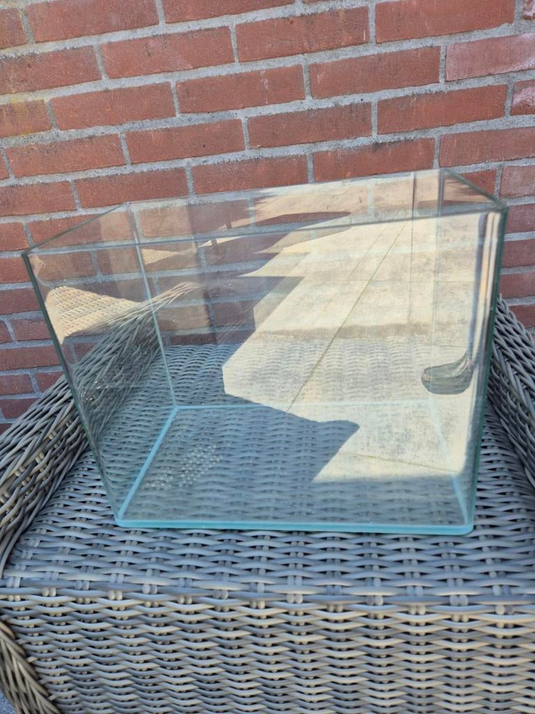 Gratis aquarium, Ophalen, Leeg aquarium