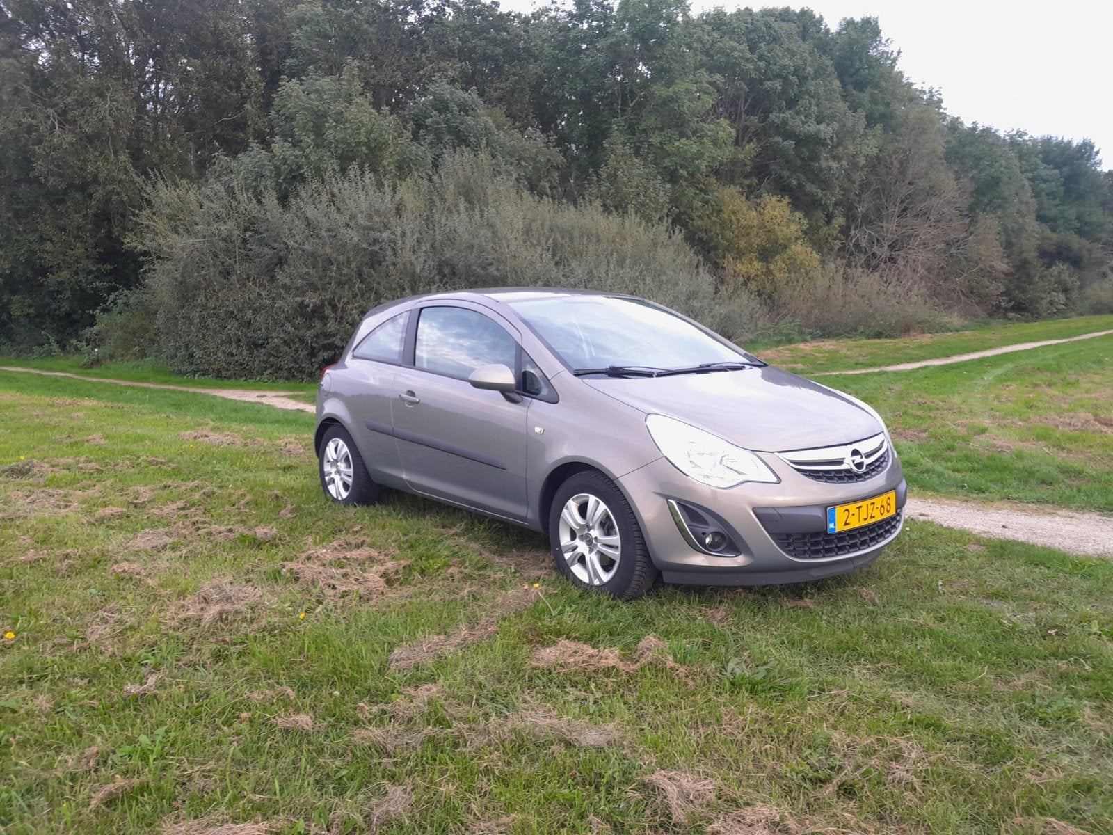 Opel Corsa 1.2 16V 3D 2014 Bruin, Voorwielaandrijving, 450 kg, 40 €/maand, 4 cilinders