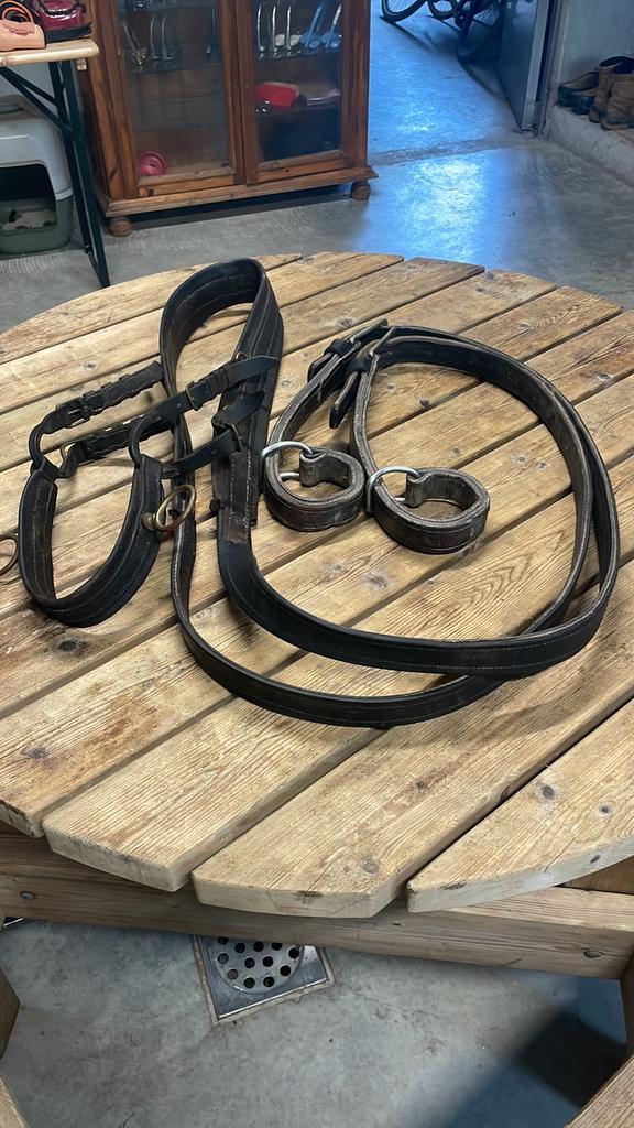 Enkelspan broeken, borst, hoofdstellen, zadels, Dieren en Toebehoren, Paarden en Pony's | Hoofdstellen en Tuigage, Ophalen of Verzenden