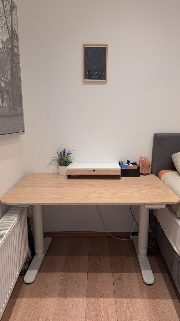 Complete Ergonomic Desk Setup, Ophalen, Gebruikt, 120 cm, Hout