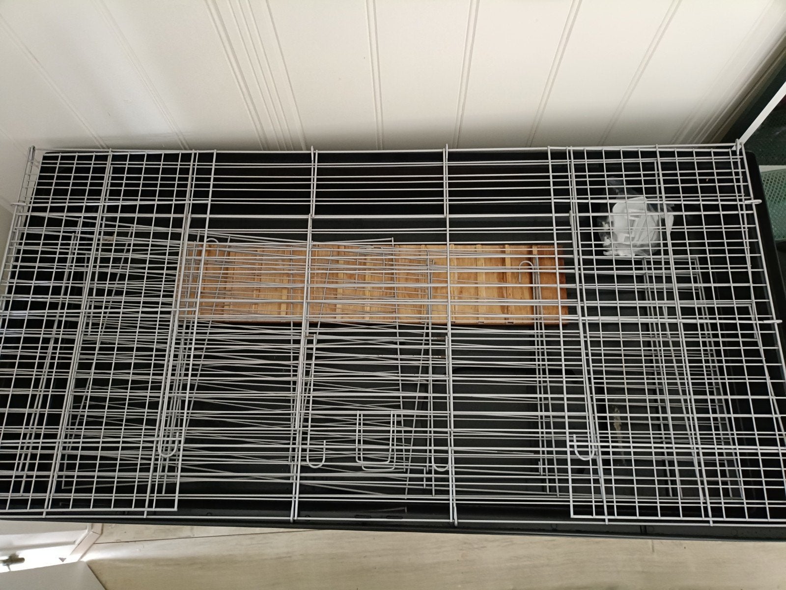 Grote caviakooi, Dieren en Toebehoren, Knaagdieren en Konijnen | Hokken en Kooien, Ophalen, Kooi, 60 tot 90 cm, Cavia