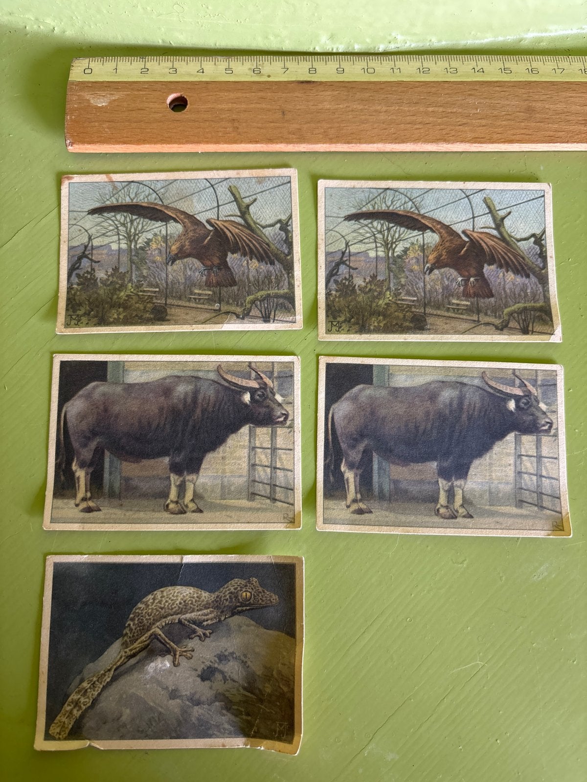 Verkade's Album Plaatjes: Roofvogels, Buffels, Gekko, Hobby en Vrije tijd, Ophalen of Verzenden, Gebruikt, Meerdere plaatjes