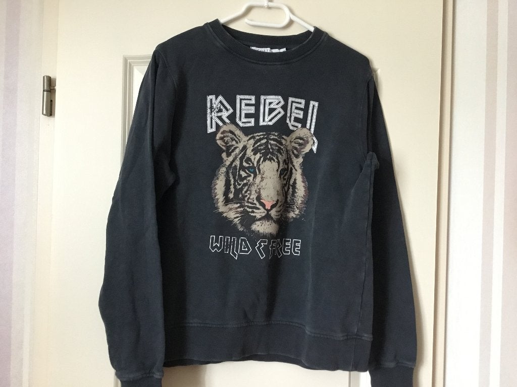 Sweater van costes maat m, Costes, Ophalen of Verzenden, Zo goed als nieuw, Maat 38/40 (M)