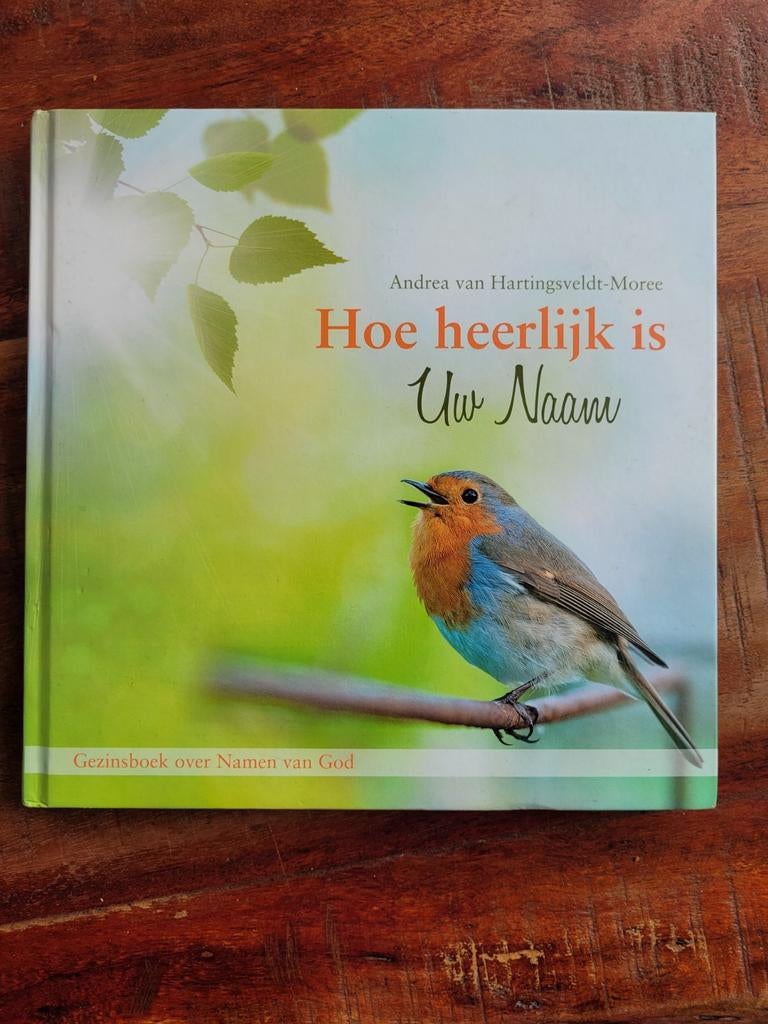 Hoe heerlijk is Uw Naam - Gezinsboek over Namen van God, Boeken, Ophalen of Verzenden, Zo goed als nieuw, Andrea van Hartingsveldt-Moree