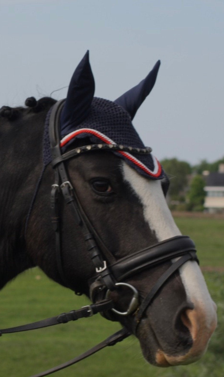 Oornetje QHP!, Dieren en Toebehoren, Oornetje, Ophalen of Verzenden, Zo goed als nieuw, Blauw