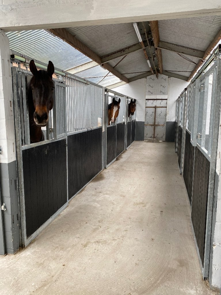 Paardenboxen, paardenstallen, stallen, voorwanden, zijwanden, Dieren en Toebehoren, Stalling, 4 paarden of pony's of meer