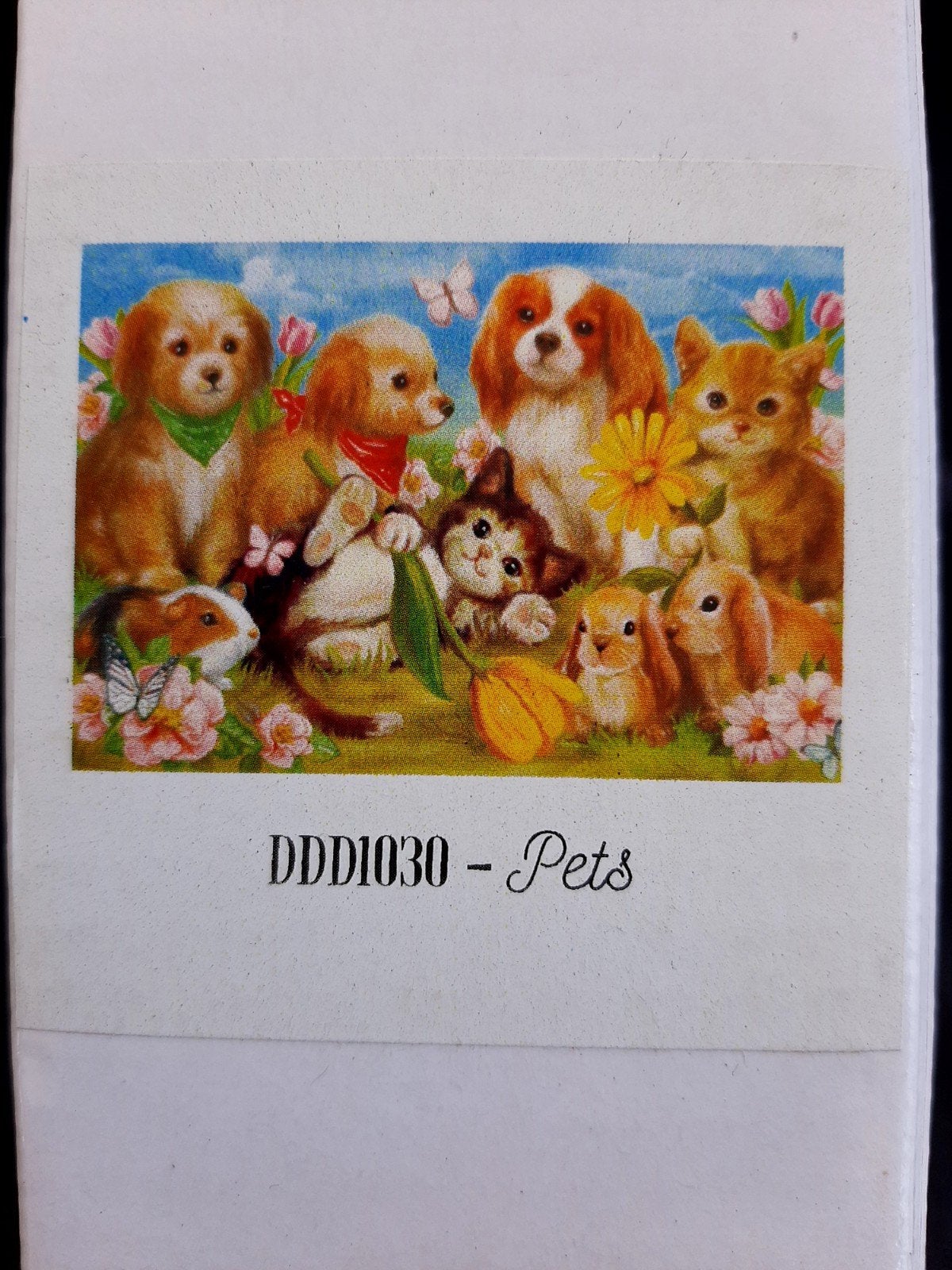 Diamond Painting Set 'Pets' - Dotty Designs, Ophalen of Verzenden, Nieuw, Knutselwerk