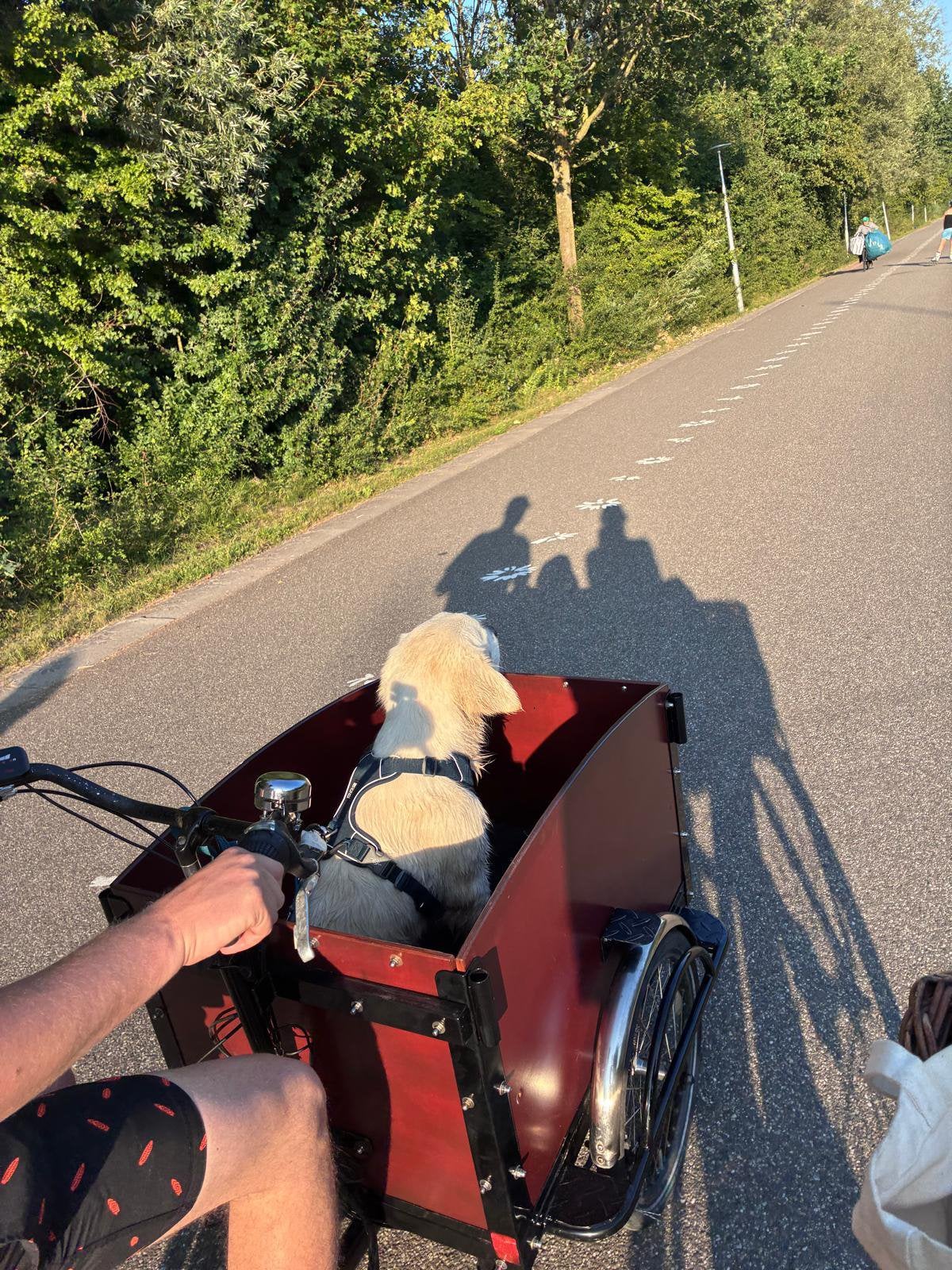 Te huur: Electrische Bakfiets voor hond of kind(eren), Fietsen en Brommers, Fietsen | Bakfietsen, Gebruikt, Goederen, Elektrisch