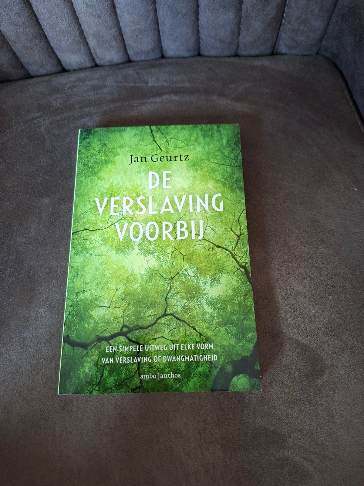 De Verslaving Voorbij - Jan Geurtz (Boek), Boeken, Ophalen of Verzenden, Zo goed als nieuw, Jan Geurtz, Nederland