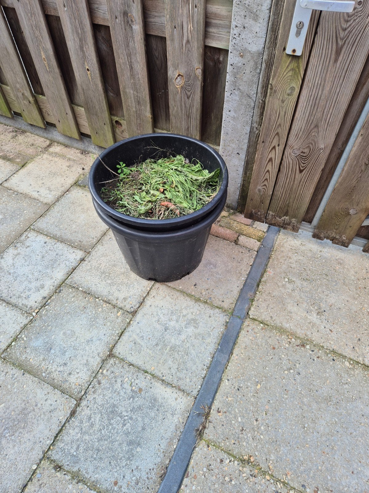 2 bloempotten GRATİS, Ophalen, Overige soorten, Volle zon