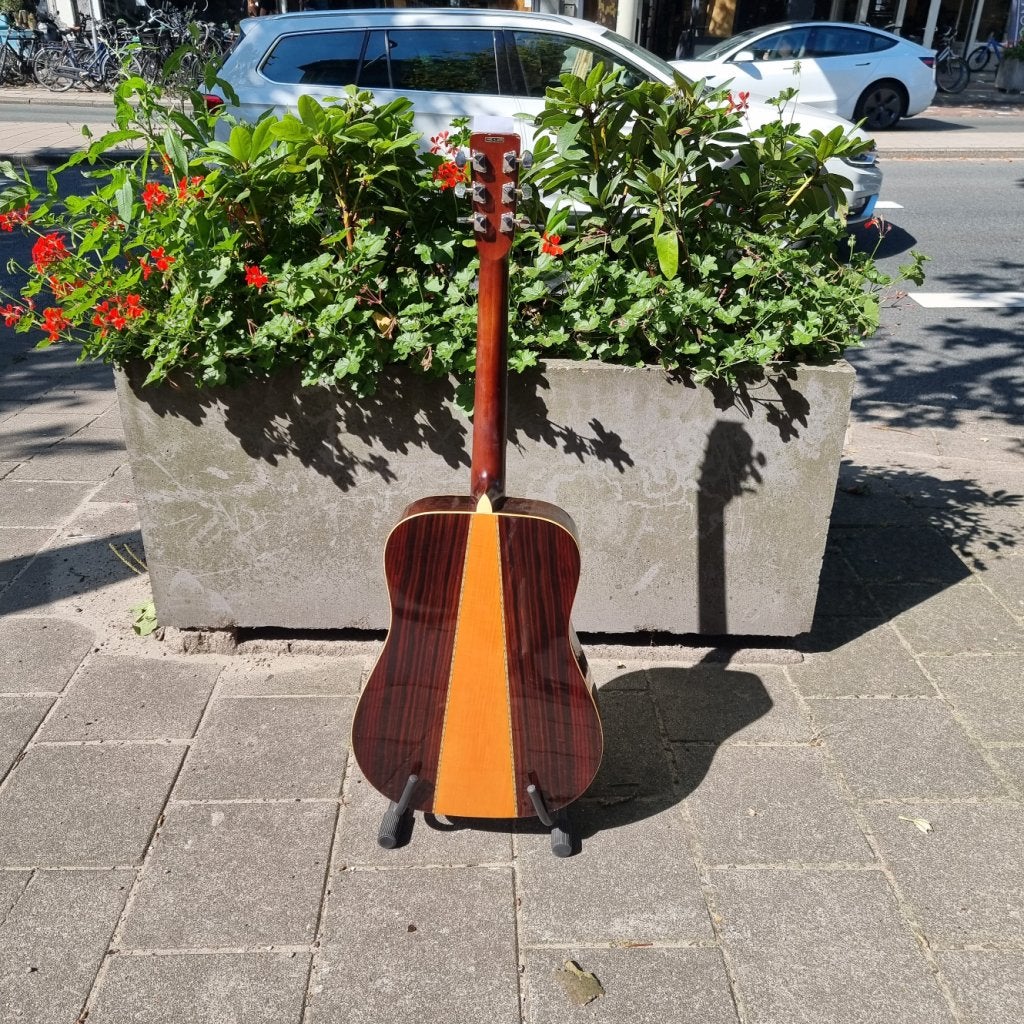 Aria 9220DM Akoestische Gitaar, Muziek en Instrumenten, Snaarinstrumenten | Gitaren | Akoestisch, Flex Ltd., Gebruikt, https://flex.com/contact-us