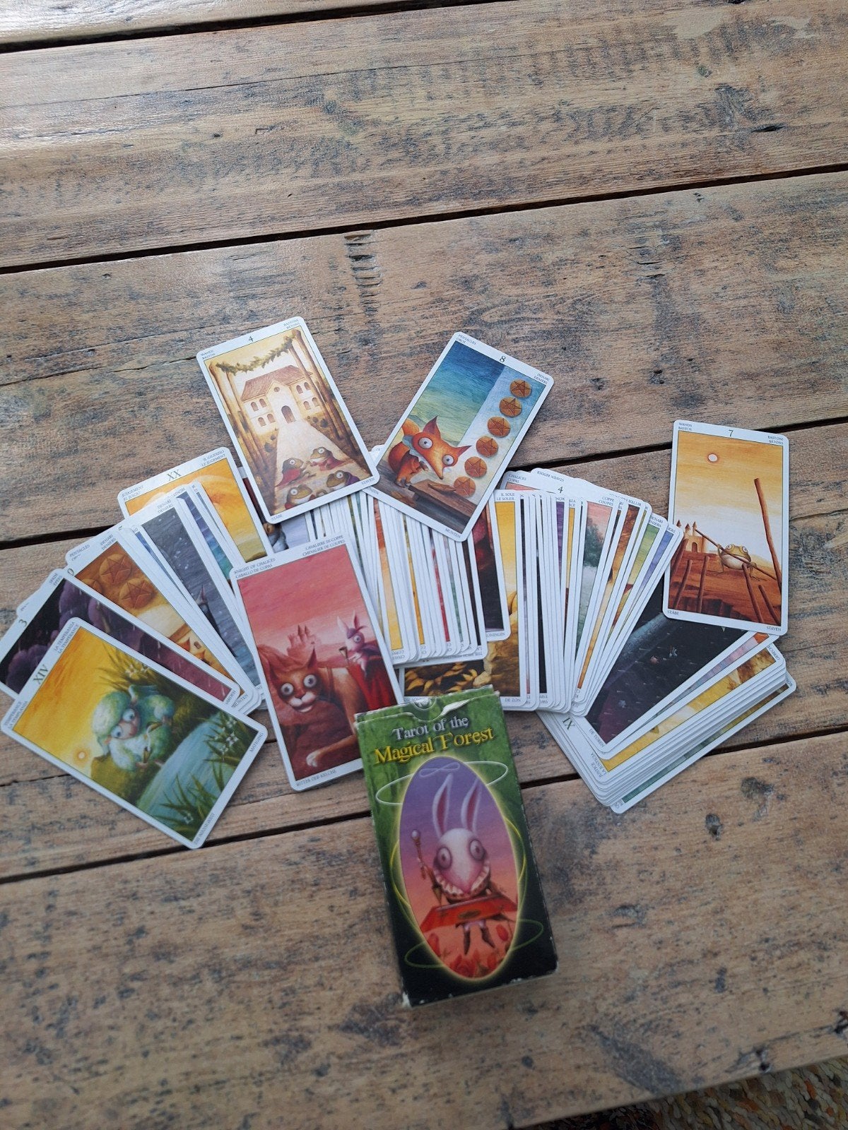 Tarot of the Magical Forest - Unieke Tarotkaarten, Tarot of Kaarten leggen, Overige typen, Ophalen of Verzenden, Zo goed als nieuw